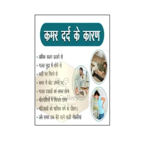 Back pain causes explained in Hindi poster for clinic and hospital awareness