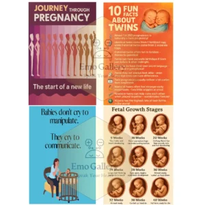 Gynecologist wall poster showing pregnancy care quotes and maternal health guidance, designed for doctor rooms and maternity clinics, waterproof and oil-proof 13×19 inch educational pregnancy poster.