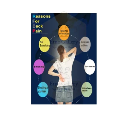 Lower Back Pain – Spine Discomfort and Muscle Strain