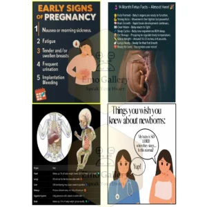Set of 4 educational pregnancy posters illustrating pregnancy stages, prenatal care tips, maternal health guidance, and gynecologist recommendations for expecting mothers