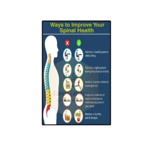 spinal health poster