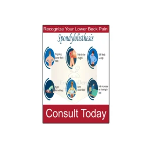 Poster showing physiotherapy exercises and spine health tips for back pain, ideal for clinics and hospitals