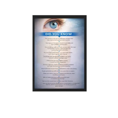 Eye Facts Frame | Vision Care Awareness Chart for Clinics & Hospitals