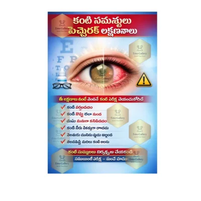 Home Telugu Warning Signs of Eye Problems Poster eye health awareness poster