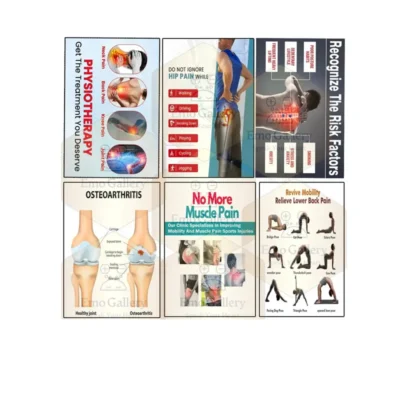 Premium Physiotherapy Posters Pack of 6 | Spine & Posture Clinic Decor